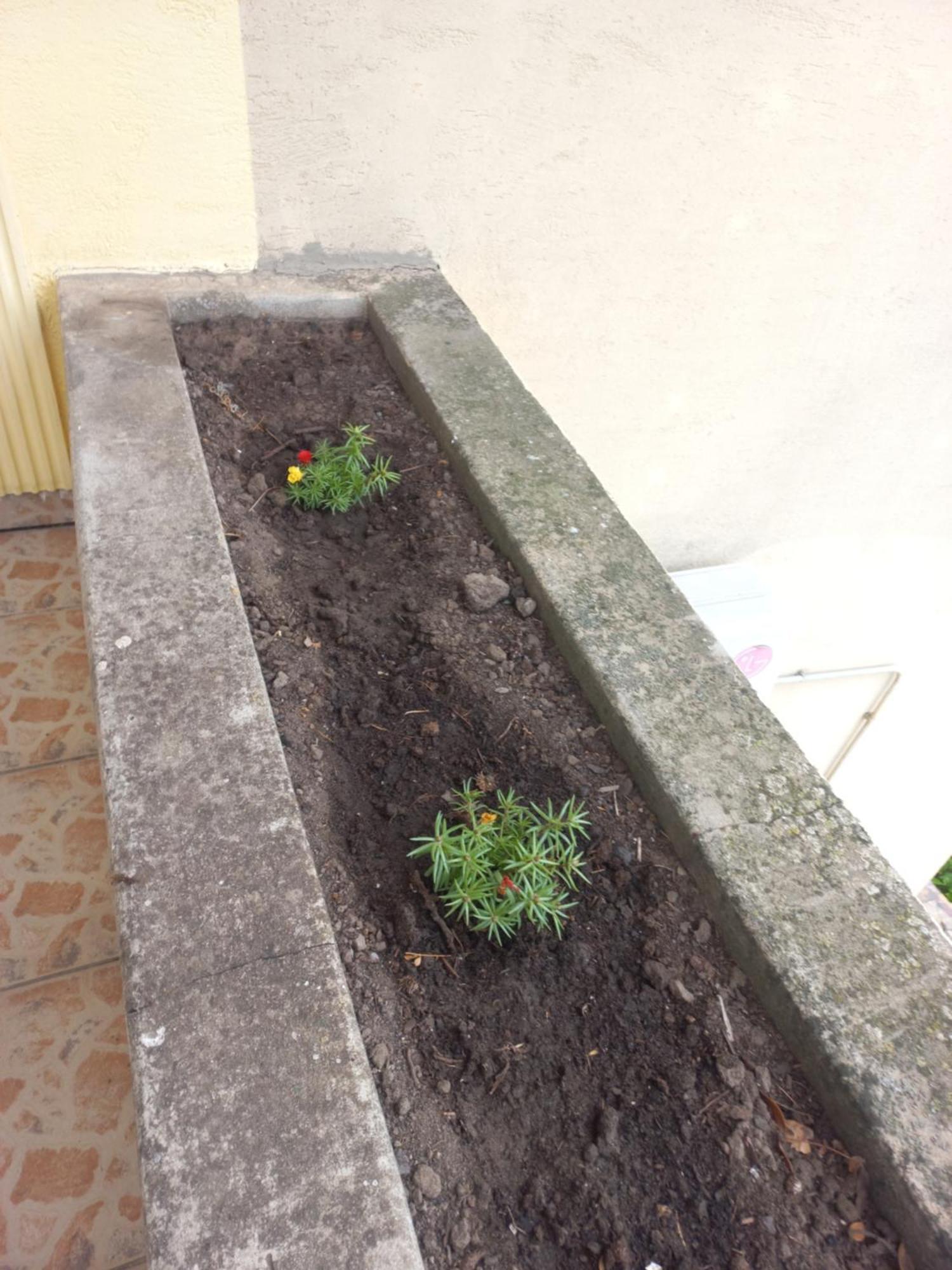 Hostel Bata Kanjiža المظهر الخارجي الصورة